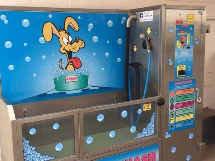 Happy dog being washed at Whitsunday Wash dog wash station
